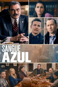 Sangue Azul: 13 Temporada