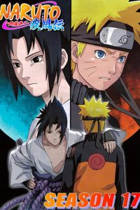 Naruto Shippuden: 17 Temporada