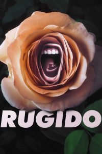 Rugido: 1 Temporada