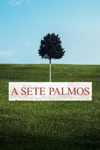 A Sete Palmos: 2 Temporada