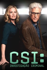 CSI: Investigação Criminal: 13 Temporada